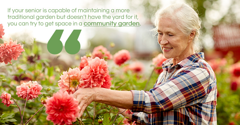 Community Garden Quote