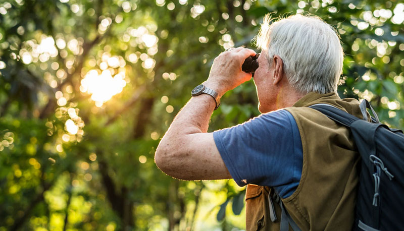 senior man watching birds with binoculars