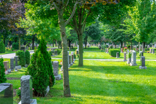 graveyard lined with trees and headstones