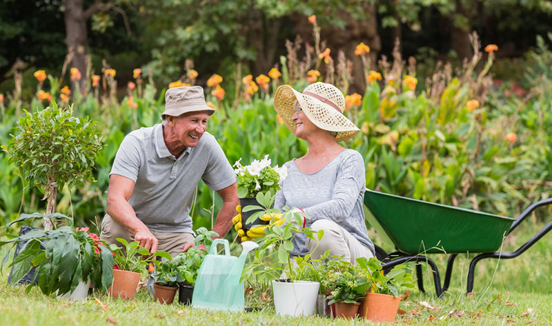 seniors gardening smiling