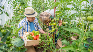 get outdoors with gardening