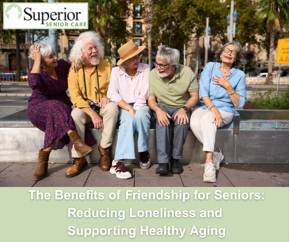 The Benefits of Friendship for Seniors: Reducing Loneliness and Supporting Healthy Aging
